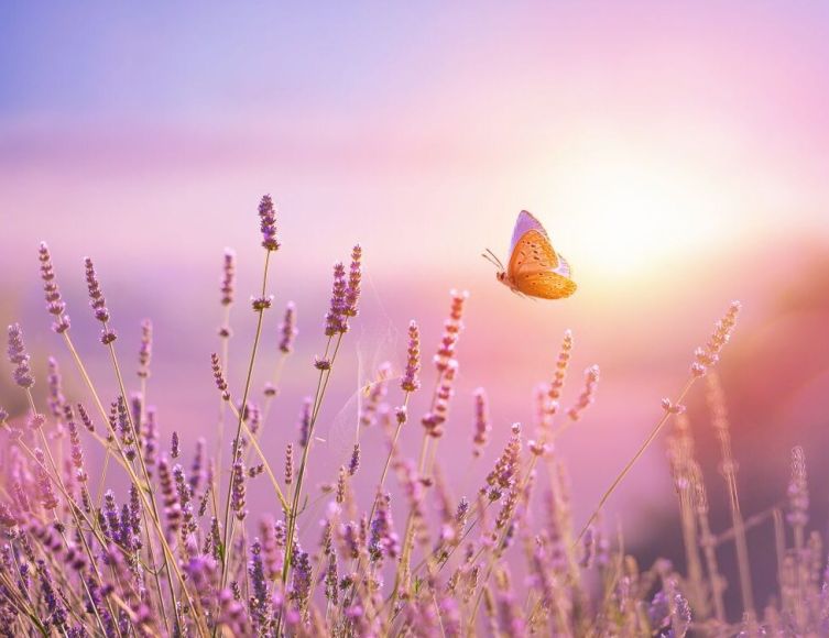 Naturheilpraxis in Saarbr&uuml;cken